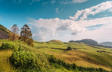 Azores, Portekiz, Avrupa'da tarım arazilerinin tepeleri ve çayırları