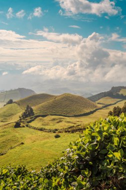 Azores, Portekiz, Avrupa'da tarım arazilerinin tepeleri ve çayırları