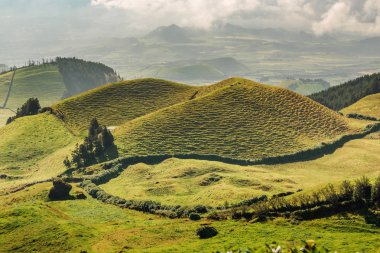 Azores, Portekiz, Avrupa'da tarım arazilerinin tepeleri ve çayırları