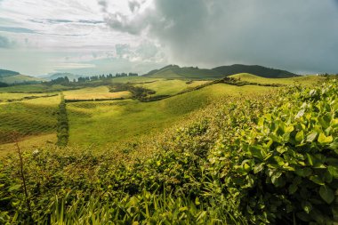 Azores, Portekiz, Avrupa'da tarım arazilerinin tepeleri ve çayırları