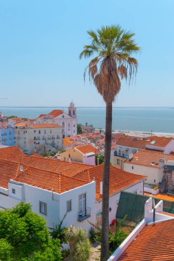 Lizbon, Portekiz, Avrupa şehir manzarası ve palmiye ağaçlarının havadan görünümü