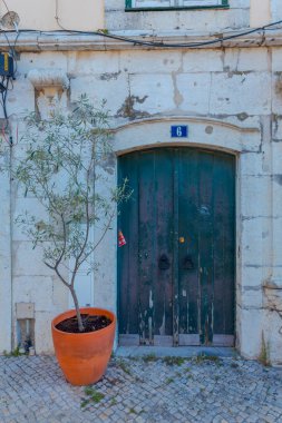 Lizbon, Portekiz, Avrupa caddesinde tahtalar ve saksı bitkisi ile duvar ve ahşap kapı