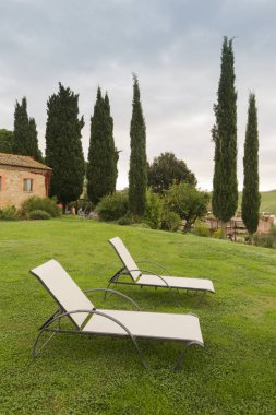 Toskana tarım arazilerinde yeşil çim üzerinde Şezlong, İtalya, Avrupa