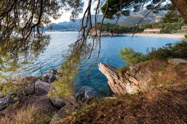 Perast tatil beldesinde kıyı kayalar ve ağaçlar, Kotor Körfezi, Karadağ, Avrupa
