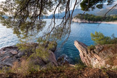 Perast tatil beldesinde kıyı kayalar ve ağaçlar, Kotor Körfezi, Karadağ, Avrupa