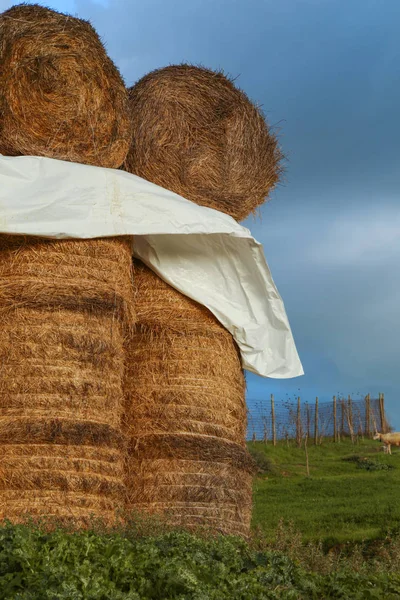 Scenic Farmland Scenery Stacked Hay Bales Clouds Tuscany Italy Europe — Stock Photo, Image