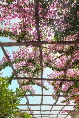 Ravello, Amalfi Sahili, İtalya'da deniz kıyısında güzel antik bahçe