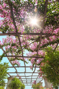 Ravello, Amalfi Sahili, İtalya'da deniz kıyısında güzel antik bahçe