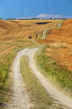 Yaz toskana mevsimlik alan üzerinden Kırsal yol, İtalya, Avrupa