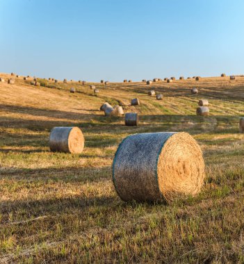 Yaz toskana alanında yuvarlak saman balyaları, İtalya, Avrupa
