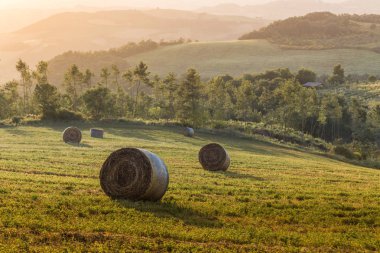 Yaz toskana alanında yuvarlak saman balyaları, İtalya, Avrupa