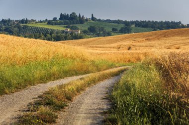 Yaz toskana kırsal alanında yol, İtalya, Avrupa