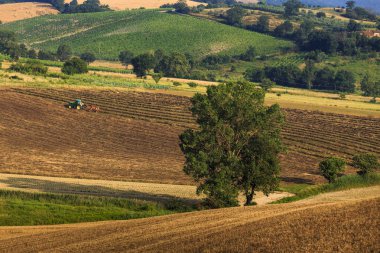 Traktör yaz Toskana kırsal alanda, İtalya, Avrupa