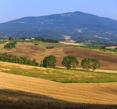Yaz toskana doğal kırsal alan, İtalya, Avrupa