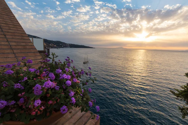 モンテ アンジェロ イタリア の海岸線に花を植えるトワイライトシーン — ストック写真