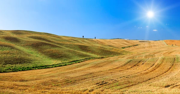 Campo Campo Bajo Cielo Azul Verano Toscana Italia Europa —  Fotos de Stock