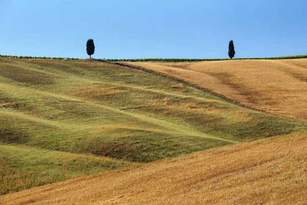 Camino Rural Través Del Campo Estacional Verano Toscana Italia Europa —  Fotos de Stock