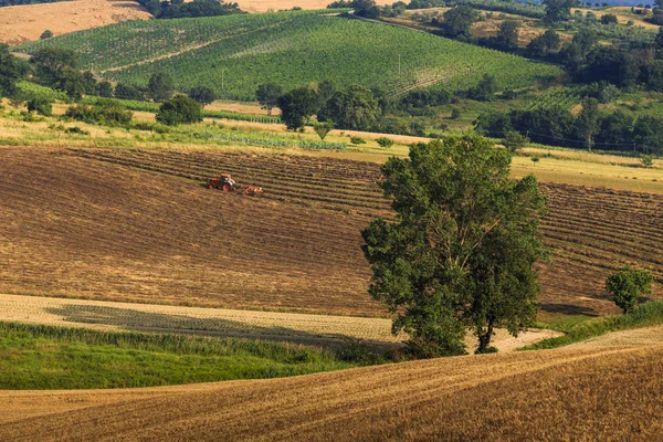 Tractor Campo Rural Verano Toscana Italia Europa —  Fotos de Stock