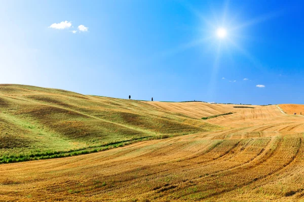 Country Field Blue Sky Summertime Tuscany Italy Europe Stock Picture