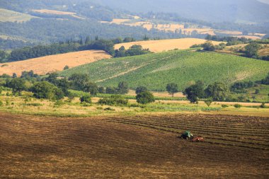Traktör yaz Toskana kırsal alanda, İtalya, Avrupa