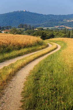 Yaz toskana kırsal alanında yol, İtalya, Avrupa
