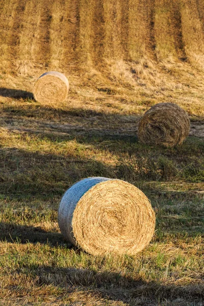 Runda Halm Balar Området Sommartid Toscana Italien Europa — Stockfoto