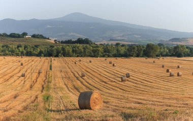Yaz toskana alanında yuvarlak saman balyaları, İtalya, Avrupa