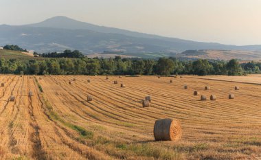 Yaz toskana alanında yuvarlak saman balyaları, İtalya, Avrupa