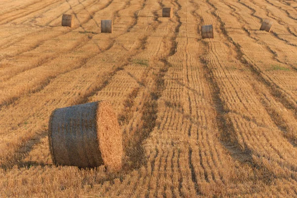 Runda Halm Balar Området Sommartid Toscana Italien Europa — Stockfoto