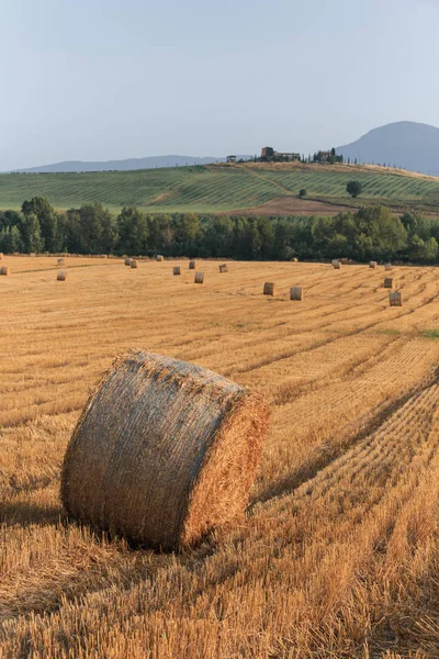 Runda Halm Balar Området Sommartid Toscana Italien Europa — Stockfoto