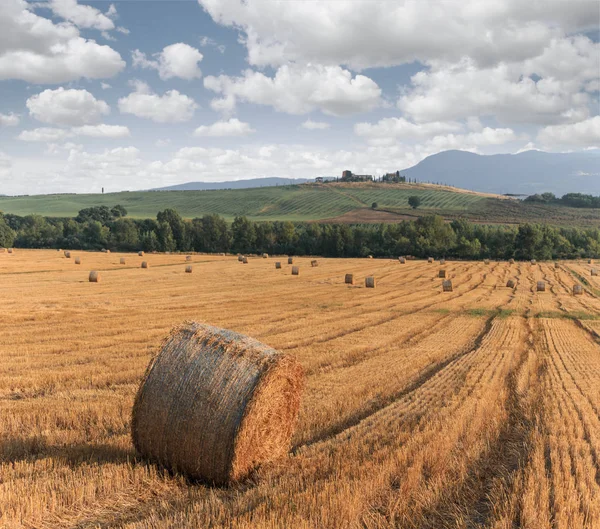 Runda Halm Balar Området Sommartid Toscana Italien Europa — Stockfoto