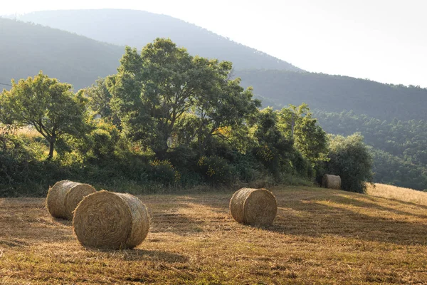 Straw Bales Field Summertime Tuscany Italy Europe — Stock Photo, Image