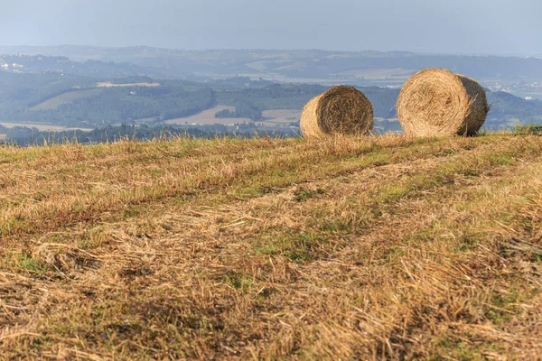 Runda Halm Balar Området Sommartid Toscana Italien Europa — Stockfoto