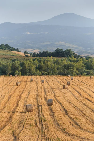 Runda Halm Balar Området Sommartid Toscana Italien Europa — Stockfoto