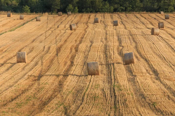 Runda Halm Balar Området Sommartid Toscana Italien Europa — Stockfoto