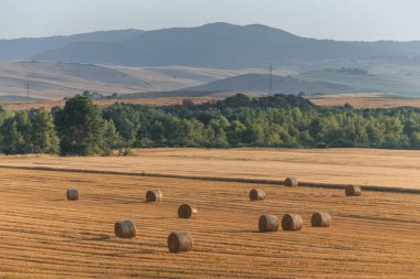 Yaz toskana alanında yuvarlak saman balyaları, İtalya, Avrupa