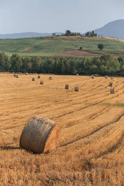 Runda Halm Balar Området Sommartid Toscana Italien Europa — Stockfoto