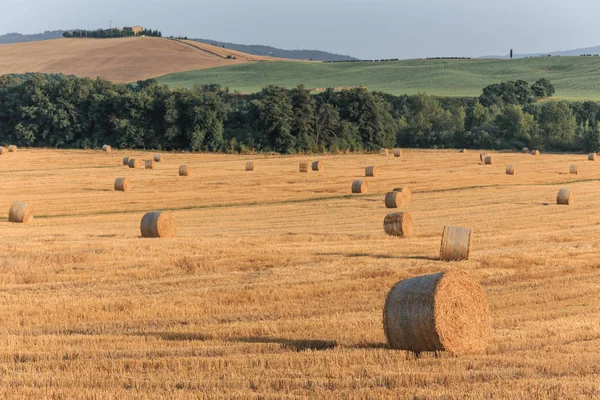 Runda Halm Balar Området Sommartid Toscana Italien Europa — Stockfoto