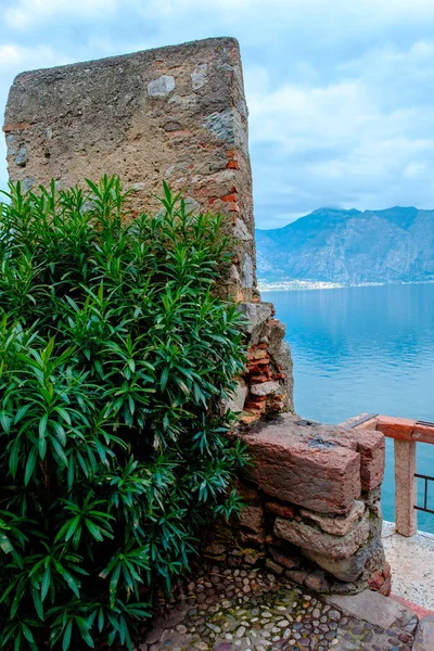 伝統的な家屋 リヴァ ガルダ イタリア ヨーロッパとガルダ湖とマルセシンの街並みの緑の葉を通して風景 — ストック写真