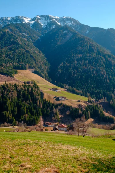 Mountain village scenery in green valley of South Tyrol, Italy, Europe