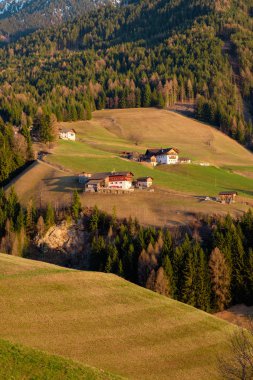 Dolomites, İtalya yeşil yamaçlarında geleneksel evler ve ormanlar ile Dağ mezrası