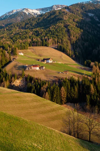 Villa Montaña Con Casas Tradicionales Bosques Las Laderas Verdes Dolomitas —  Fotos de Stock