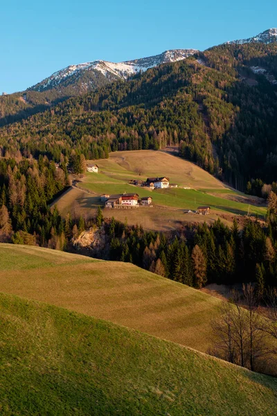 Osada Górska Tradycyjnymi Domami Lasami Zielonych Stokach Dolomitów Włochy — Zdjęcie stockowe