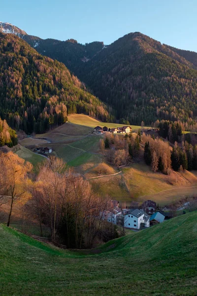 ドロミテの緑の斜面に伝統的な家や森と山のハムレット イタリア — ストック写真