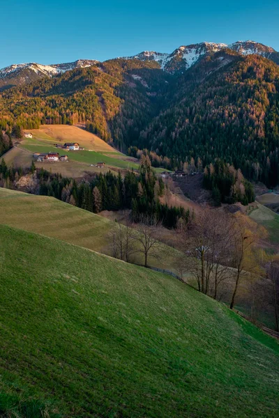 Mountain Hamlet Perinteiset Talot Metsät Vihreillä Rinteillä Dolomiitit Italia — kuvapankkivalokuva