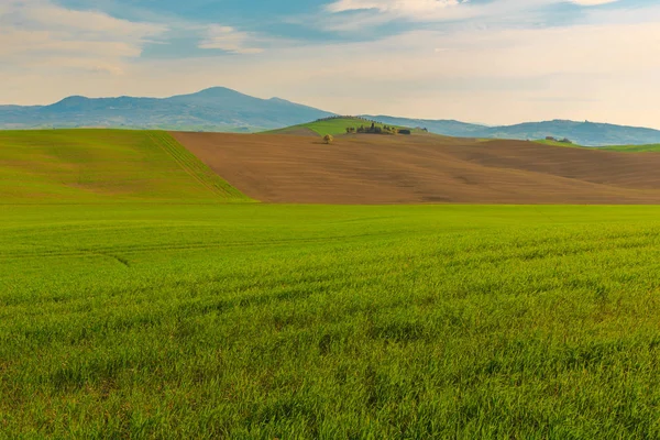 Rural scene of countryside field in Tuscany village, Italy