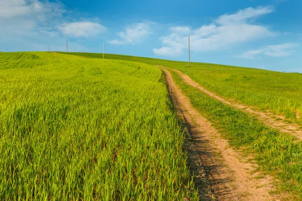 Ländliche Szenerie Mit Grünen Weizenfeldern Und Straßen Unter Blauem Himmel — Stockfoto