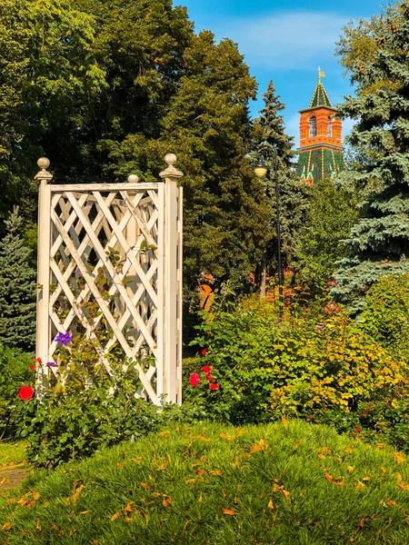 Färgglada Blommor Moskva Kreml Trädgårdar Moskva Ryssland — Stockfoto