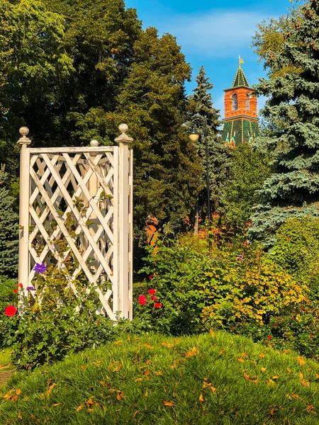 Flores Coloridas Jardins Kremlin Moscou Moscou Rússia — Fotografia de Stock