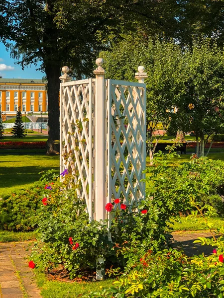 Flores Coloridas Jardins Kremlin Moscou Moscou Rússia — Fotografia de Stock